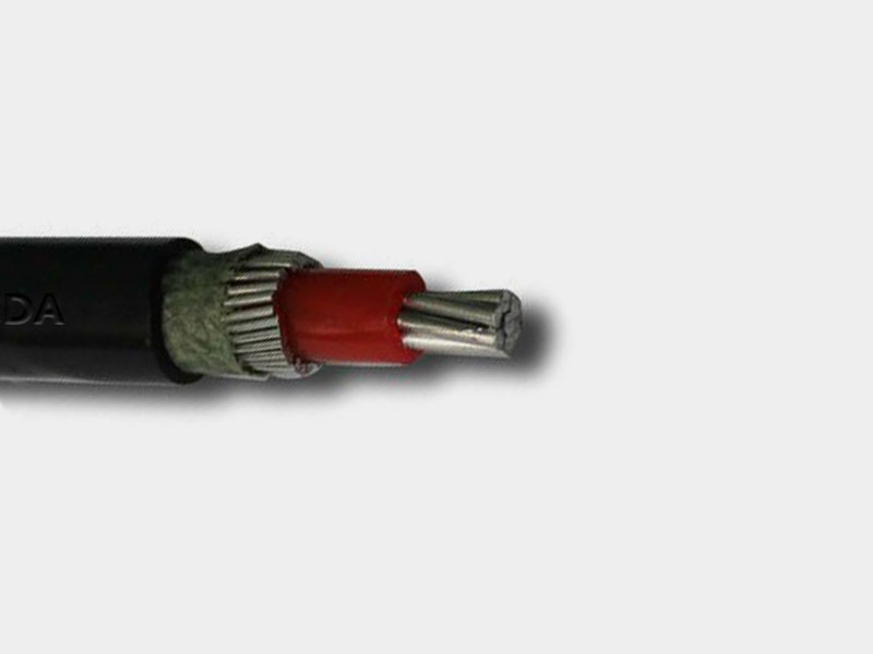 Concentric service cable