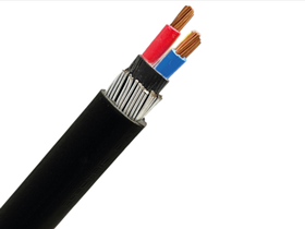 50mm 2 Core Steel Wire Armoured SWA Cable
