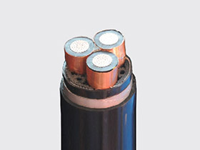 Power cable