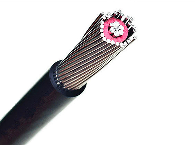 8000 Series Aluminum Alloy Concentric Cable 2*8awg 2*10awg