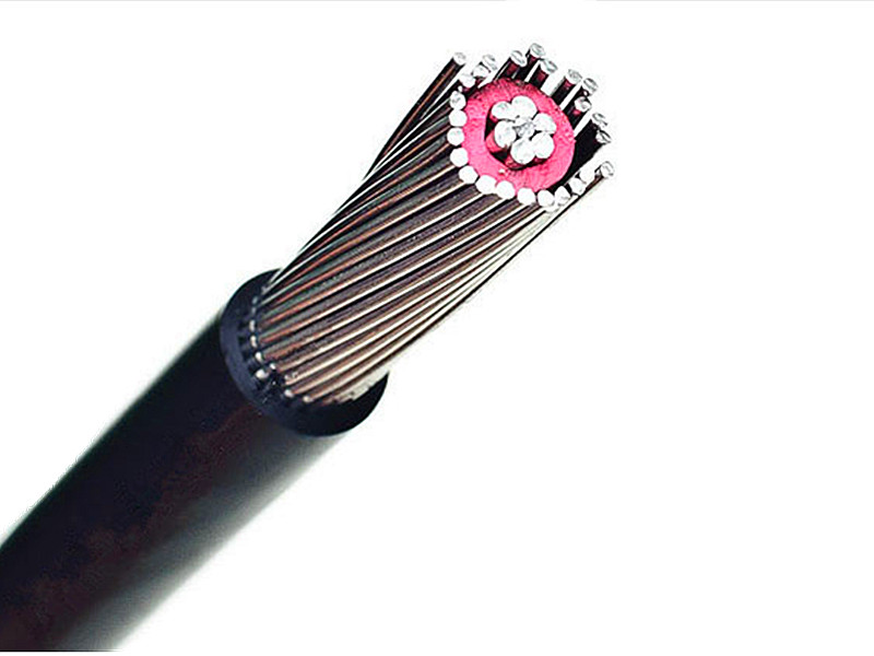 8000 Series Aluminum Alloy Concentric Cable 2X16mm2 IEC Standard