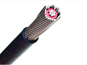 Single Phase Aluminium 16mm2 2 Core 600/1000V Concentric Service Cable with Combined Neutra