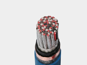 XLPE Insulated Instrumentation Cable