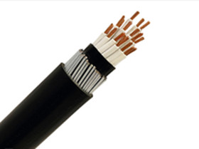 1.5mm 2.5mm 19 Core Steel Wire Armoured SWA Cable