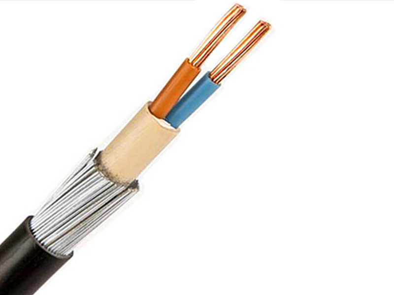 25mm 2 Core Steel Wire Armoured SWA Cable