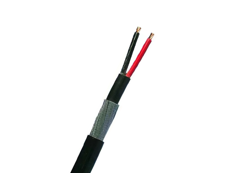 16mm 2 Core Steel Wire Armoured SWA Cable