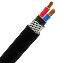 35mm 2 Core Steel Wire Armoured SWA Cable from Hongda Cable