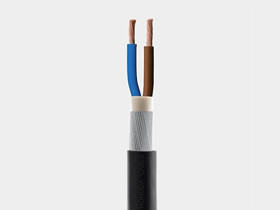 6mm 2 Core SWA Armoured Cable