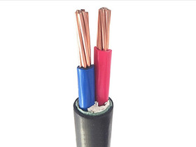 XLPE 2 Cores Copper Cable