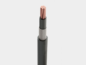 Single Core AWA Armoured Cable 