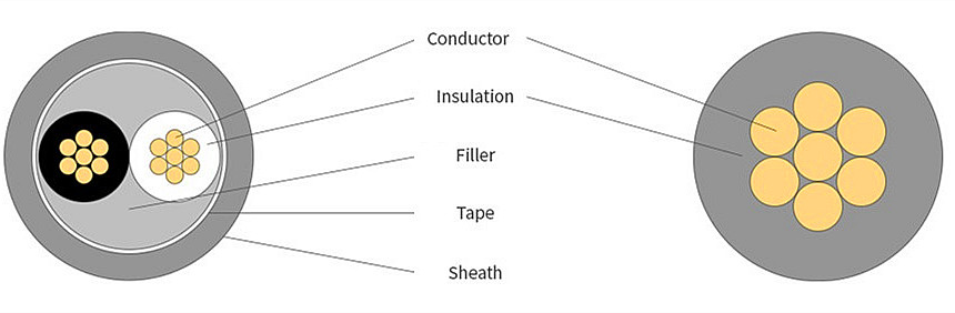 t-fr cv structure